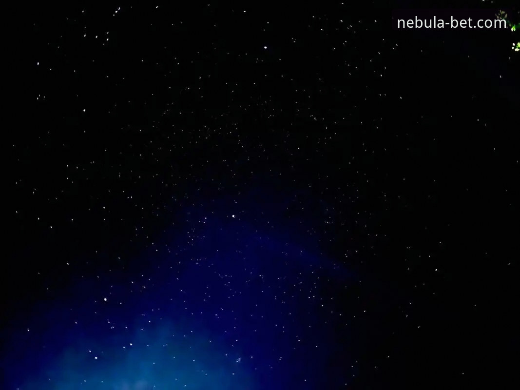 掌握星空体育登录的关键：2025新版实用指南